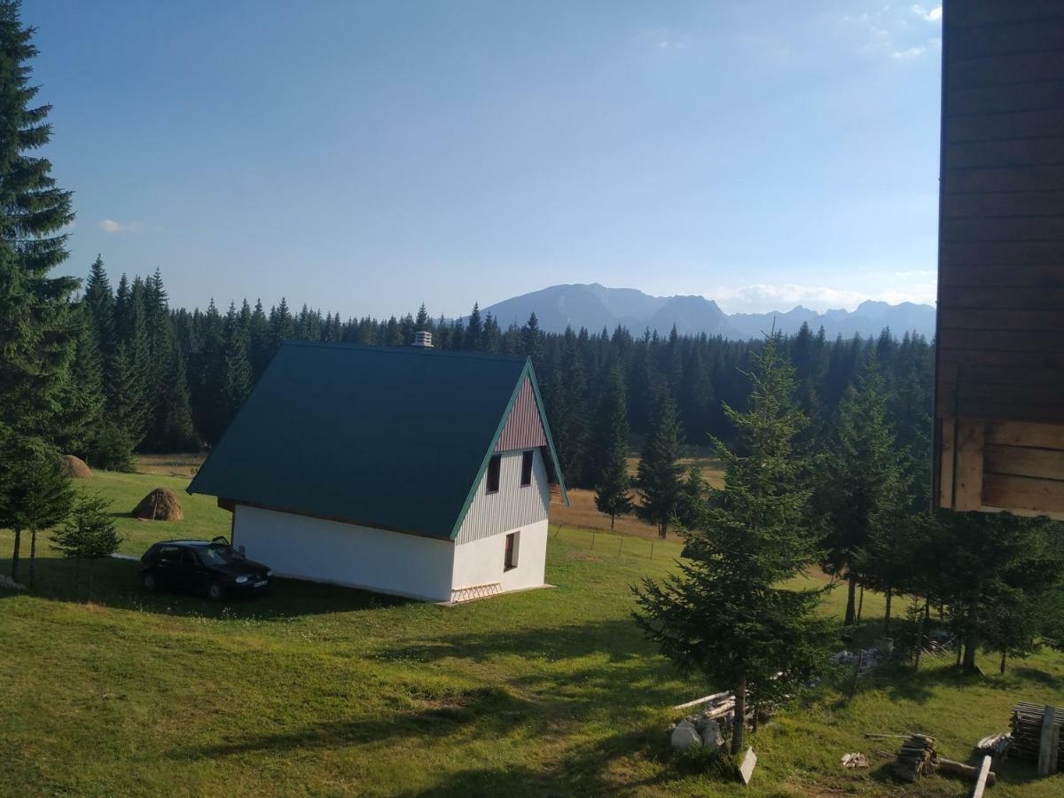 House In Forest Zabljak  Exterior photo